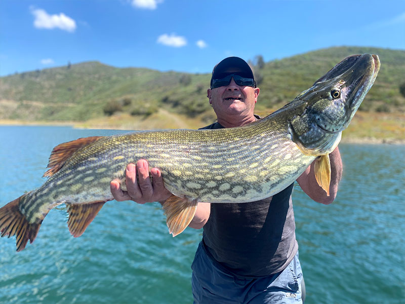 Pêcheur avec un gros brochet