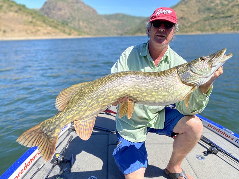 Pecheur avec un brochet sur un lac portugais