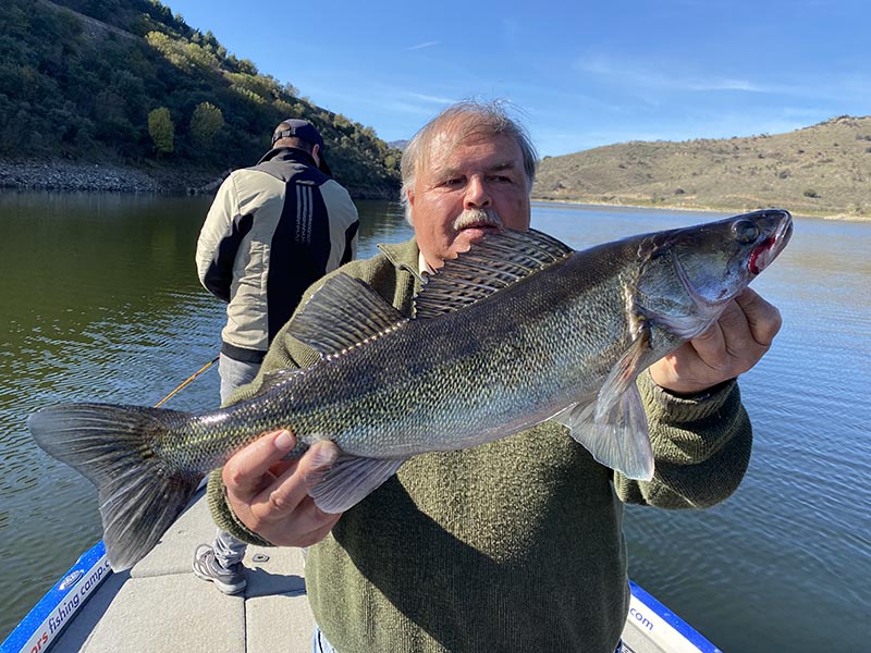 Pêcheur avec une belle sandre sur un lac au Portugal