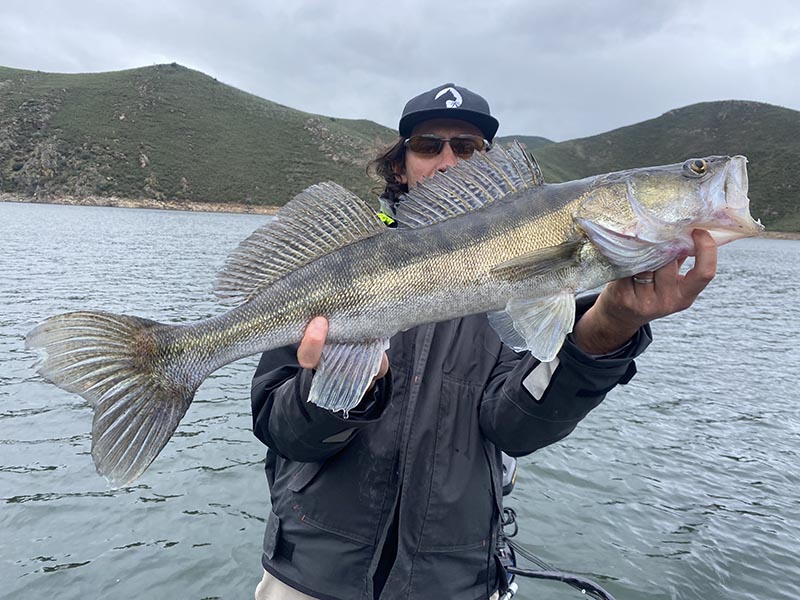 Pêcheur avec une belle sandre sur un lac au Portugal