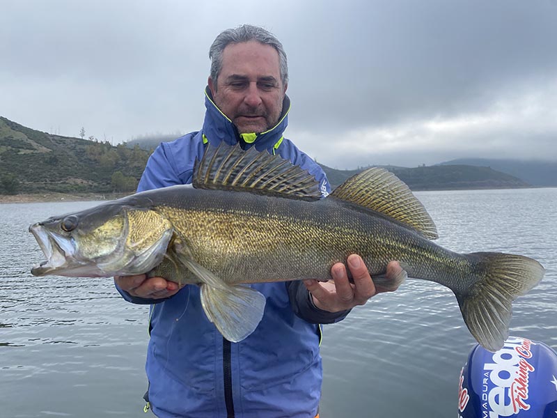 Pêcheur avec une belle sandre sur un lac au Portugal