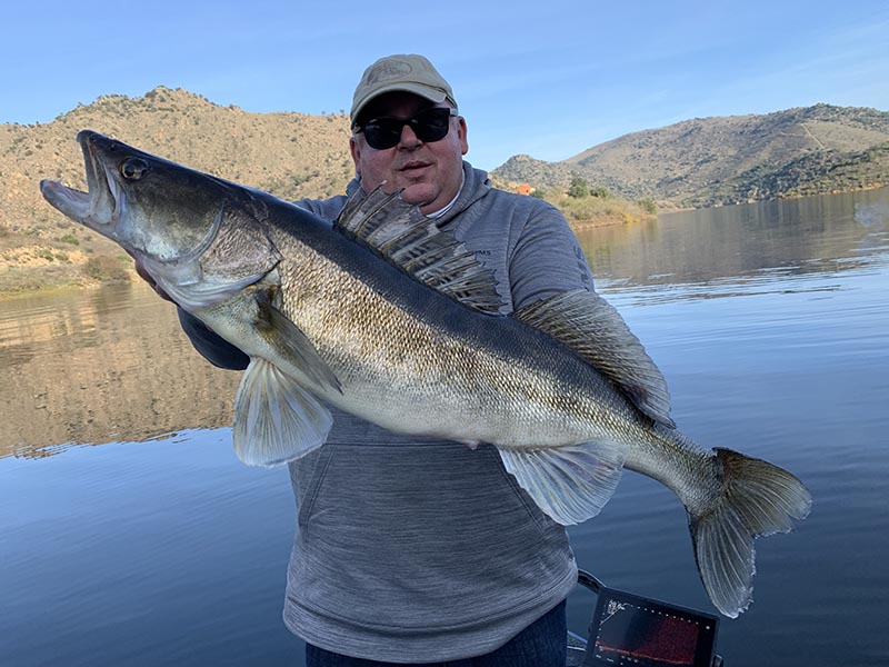 Pêcheur avec une belle sandre sur un lac au Portugal