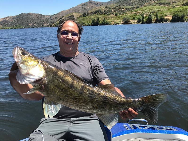 Pêche sportive au portugal, pêcher avec un Bass à bout de bras