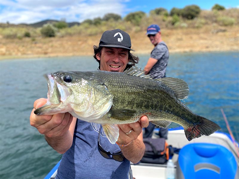 Pêche sportive au portugal, pêcher avec un Bass à bout de bras
