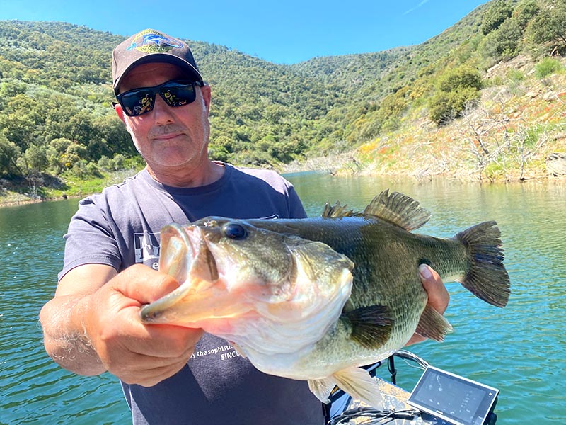 Pêche sportive au portugal, pêcher avec un Bass à bout de bras