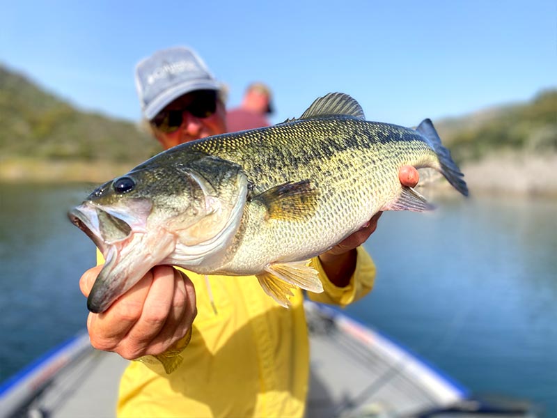 Pêche sportive au portugal, pêcher avec un Bass à bout de bras