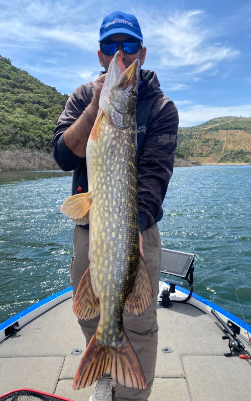 Pécheur dans un bateau avec un gros poisson