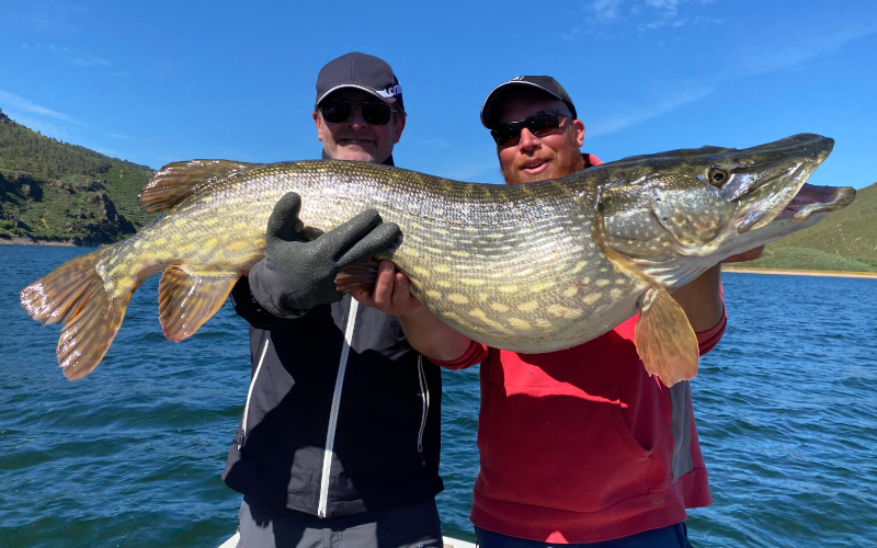 Deux pêcheurs avec un très gros brochet au portugal