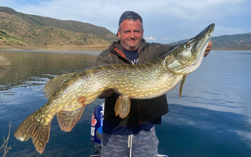 pecheur-avec-un-brochet-geant-sur-un-lac-portugais