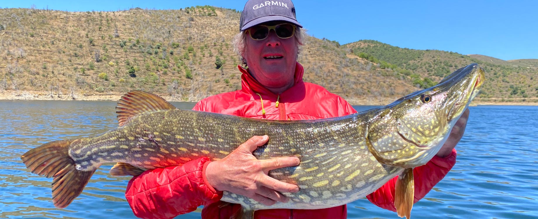 Brochet portugais