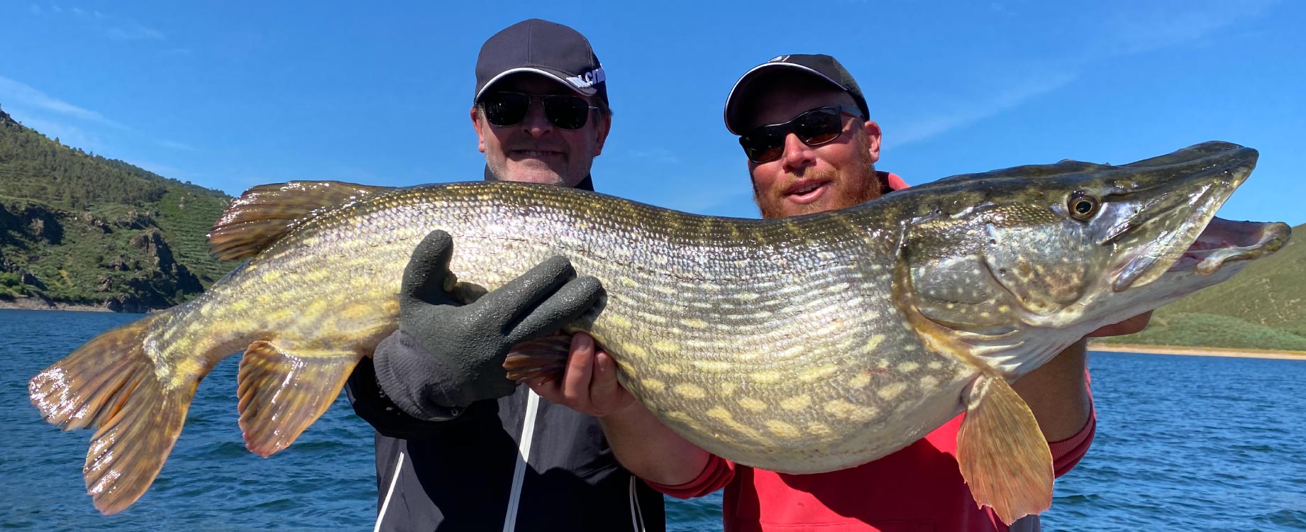 brochet portugais