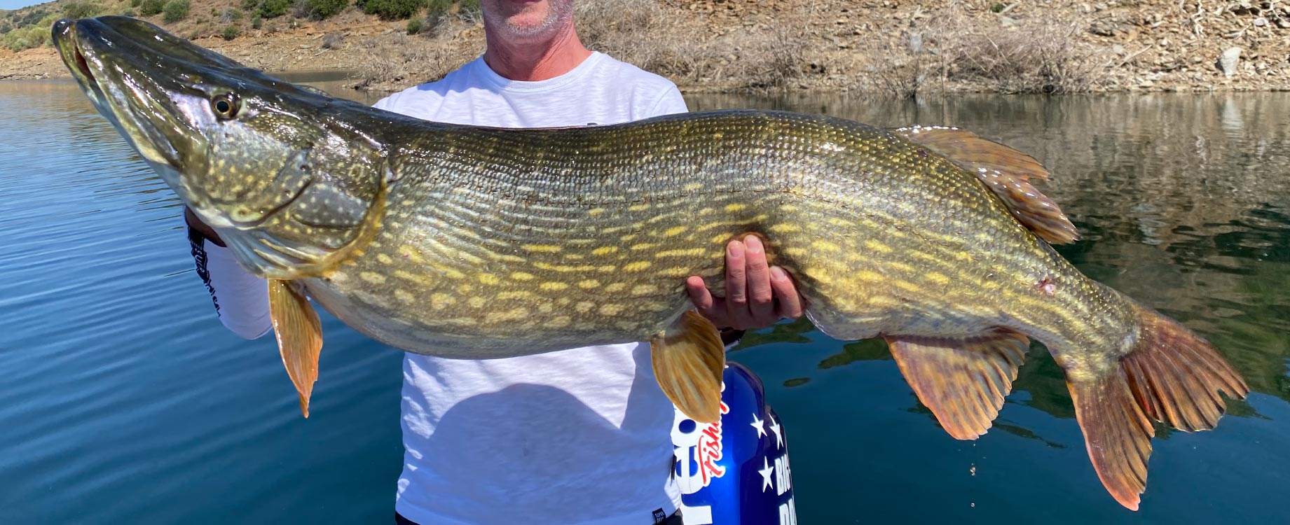Gros brochet de 120cm péché dans un lac au Portugais
