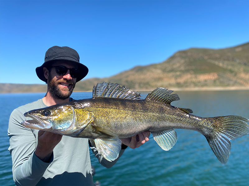 Pecheur avec Sandre sur lac portugais
