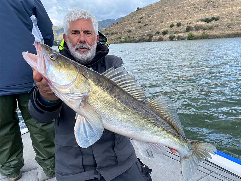 Pecheur avec Sandre sur lac portugais