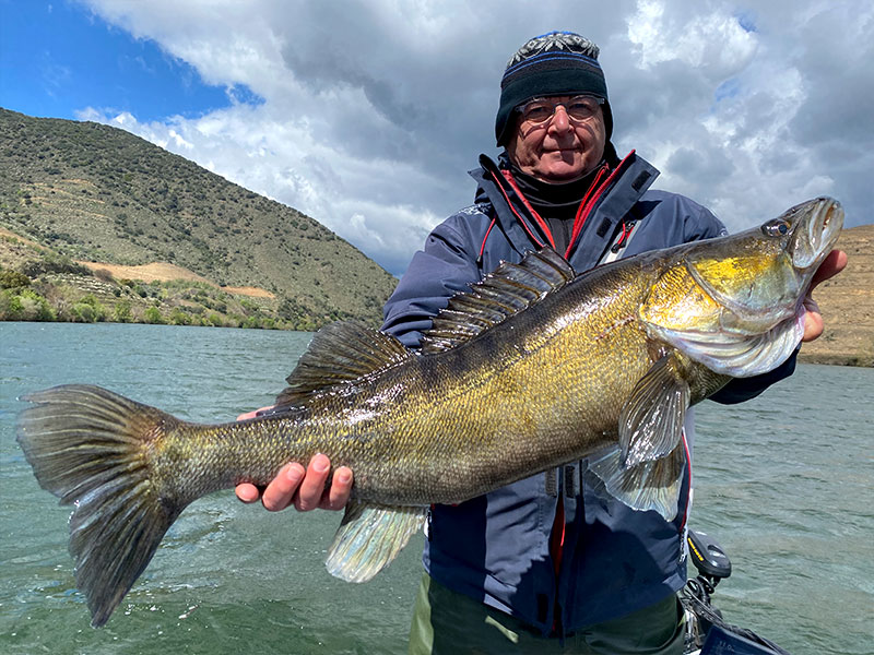 Pecheur avec Sandre sur lac portugais