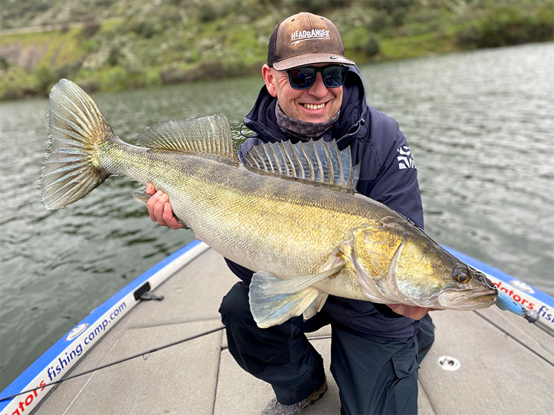 Pecheur avec Sandre sur lac portugais
