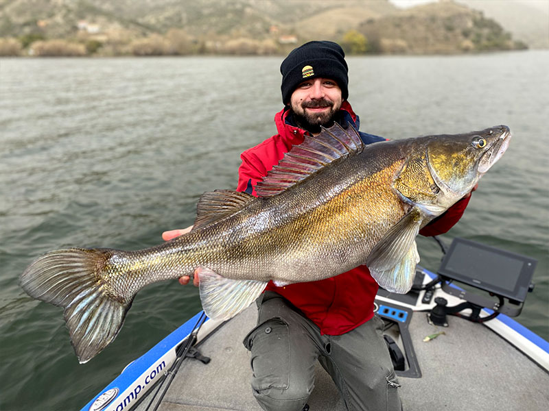 Pecheur avec Sandre sur lac portugais