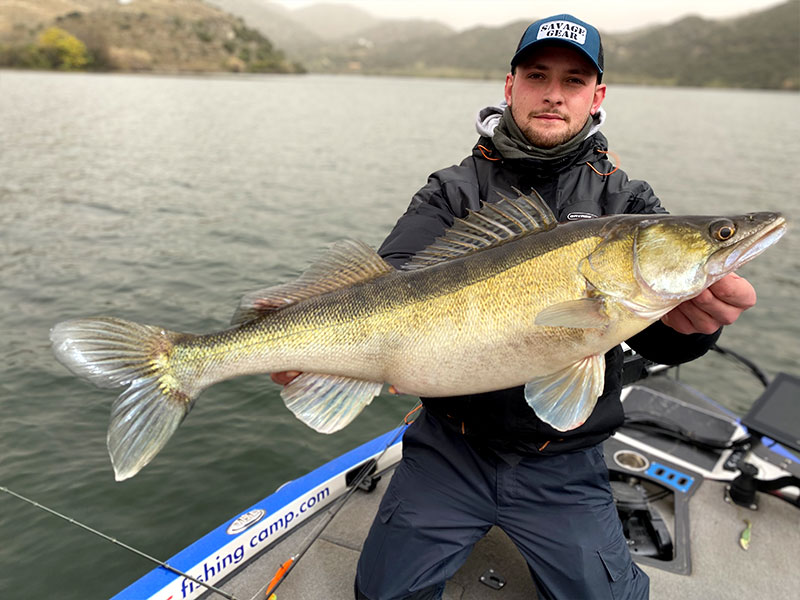Pecheur avec Sandre sur lac portugais