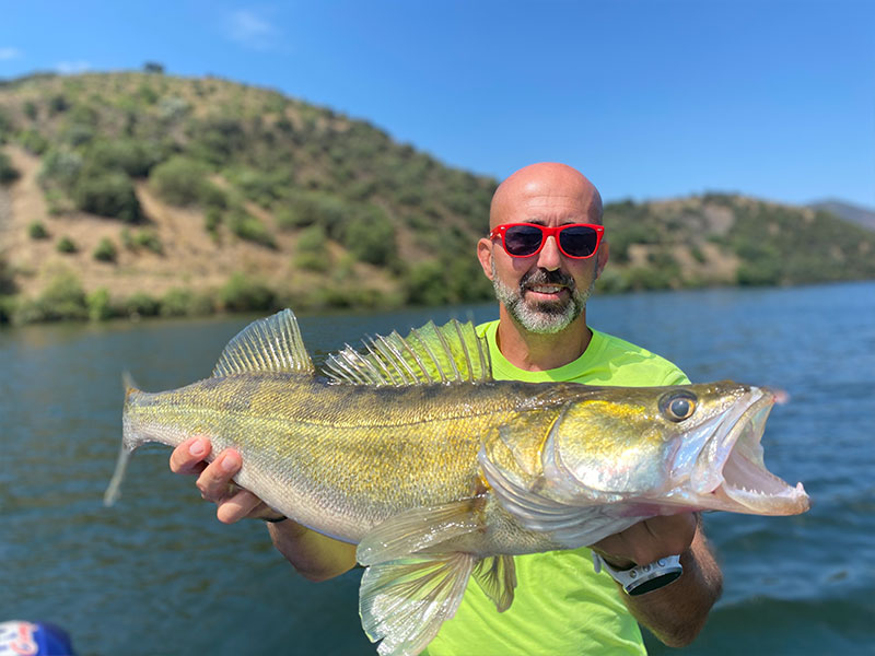 Pecheur avec Sandre sur lac portugais