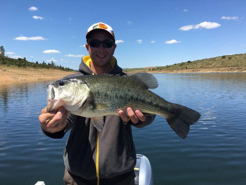 Bass Peche En Bateau Espagne