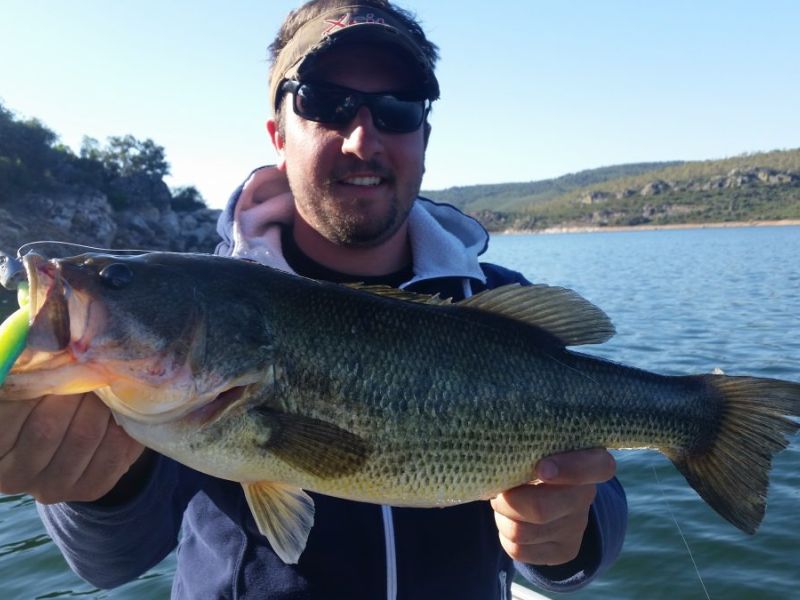 Bass Peche En Bateau Espagne