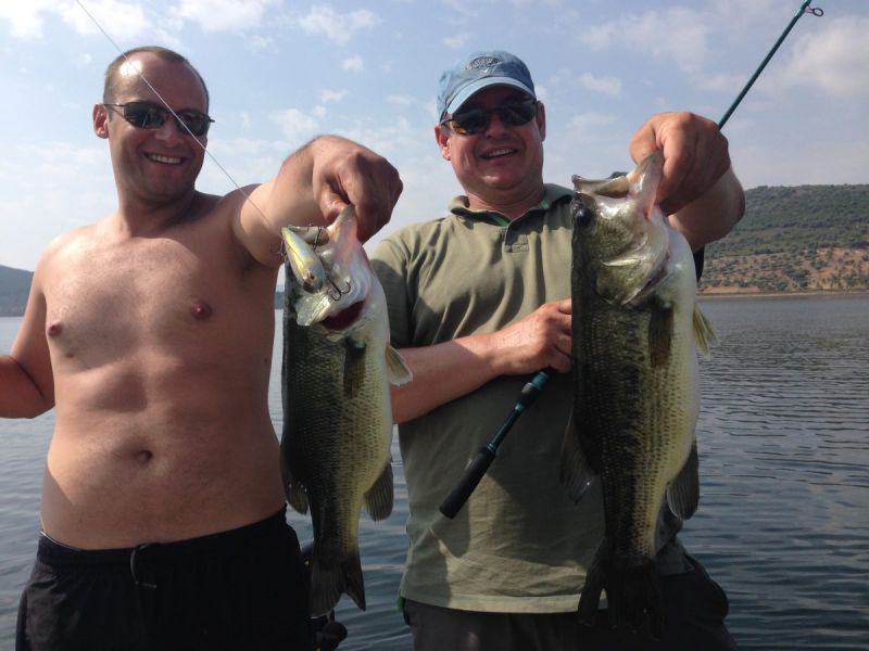 Bass Peche En Bateau Espagne