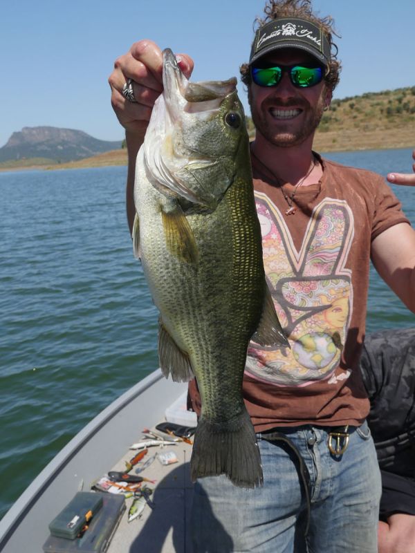 Bass Peche En Bateau Espagne