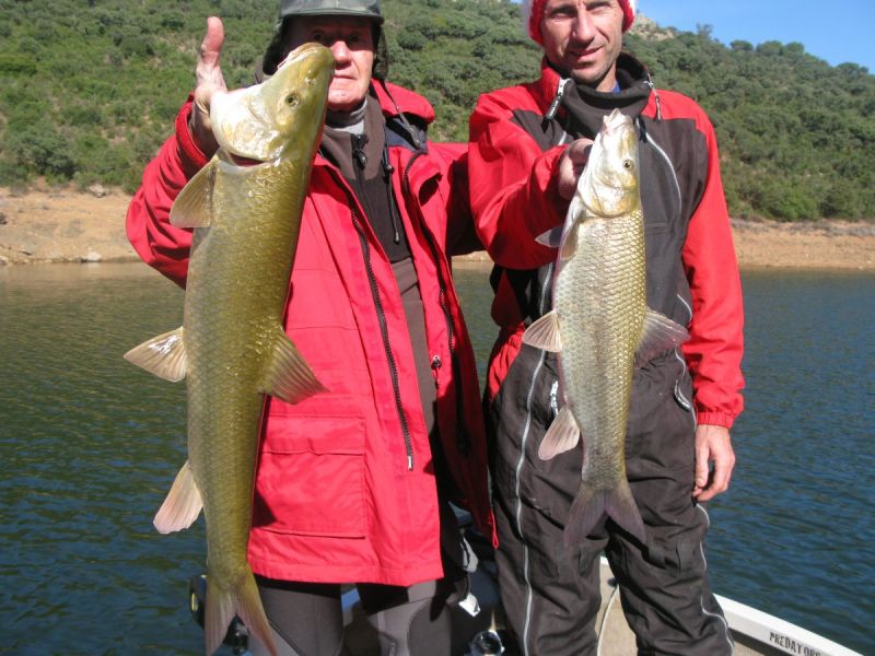 Barbeaux Peche En Extremadura 11