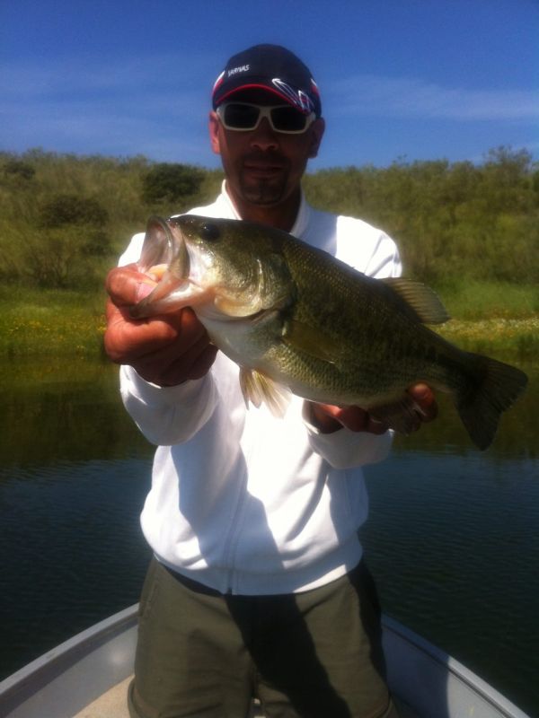 Bass Peche En Bateau Espagne
