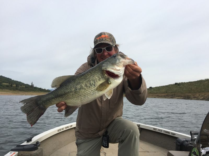 Bass Peche En Bateau Espagne