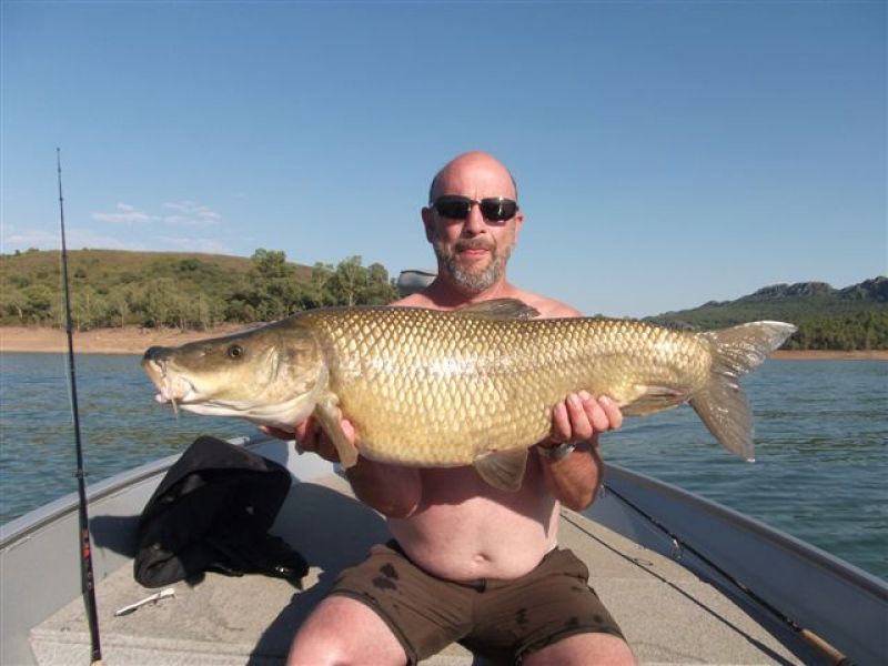 Barbeaux Peche En Extremadura 1