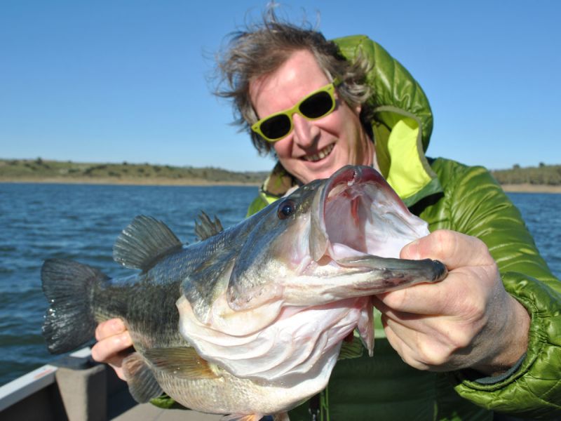 Bass Peche En Bateau Espagne