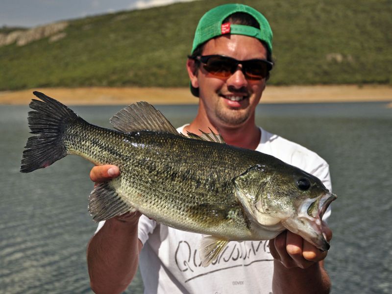 Bass Peche En Bateau Espagne