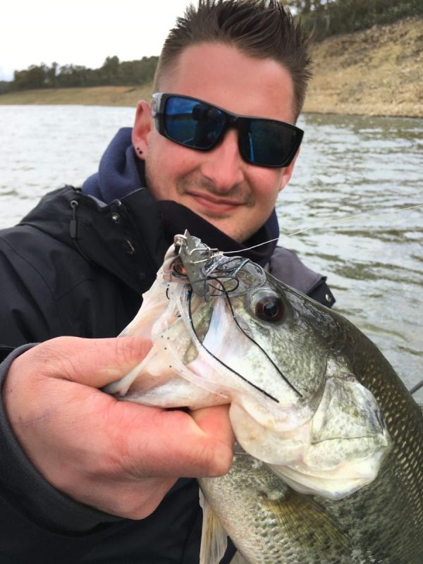 Bass Peche En Bateau Espagne