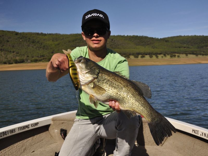 Bass Peche En Bateau Espagne