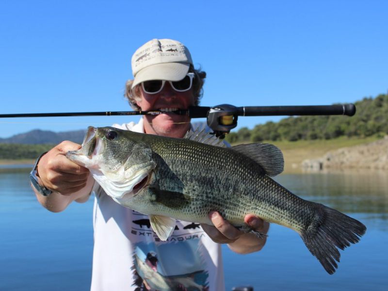 Bass Peche En Bateau Espagne