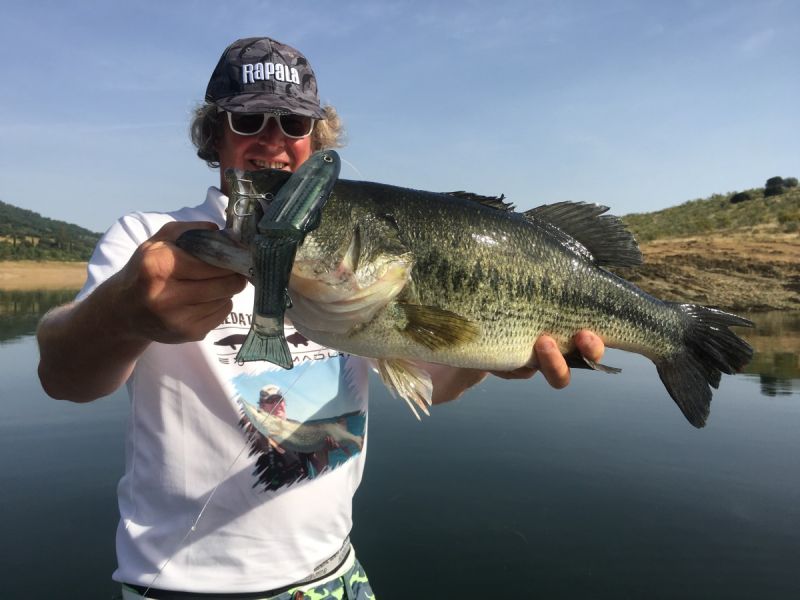 Bass Peche En Bateau Espagne