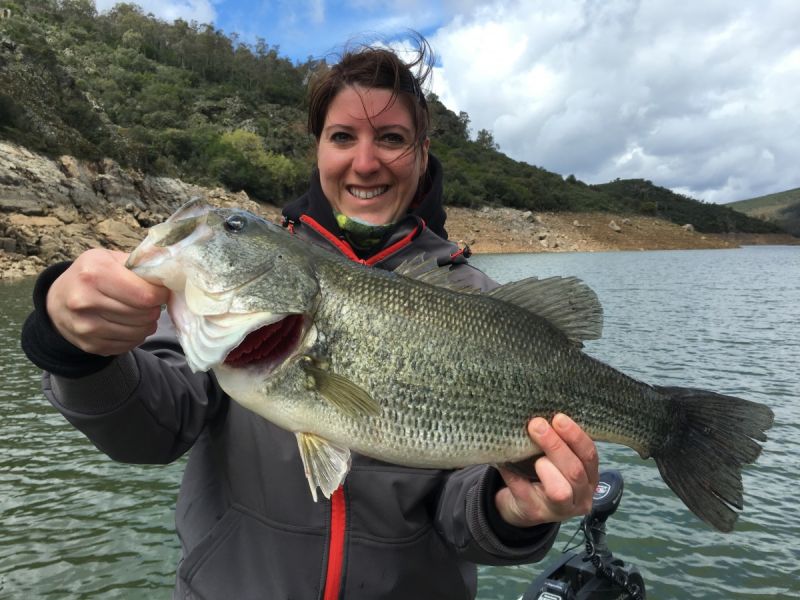 Bass Peche En Bateau Espagne
