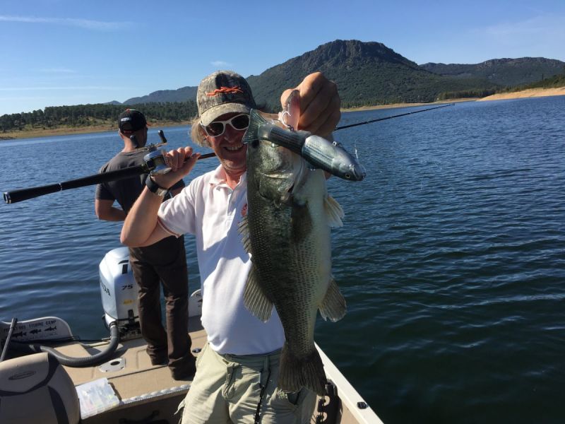 Bass Peche En Bateau Espagne