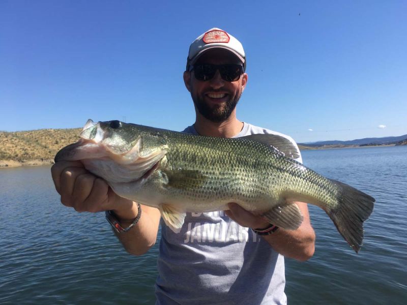Belle Peche De Bass Sous Le Soleil Espagnol