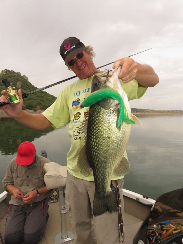 Bass Peche En Bateau Espagne