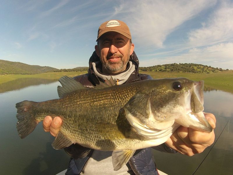 Bass Peche En Bateau Espagne
