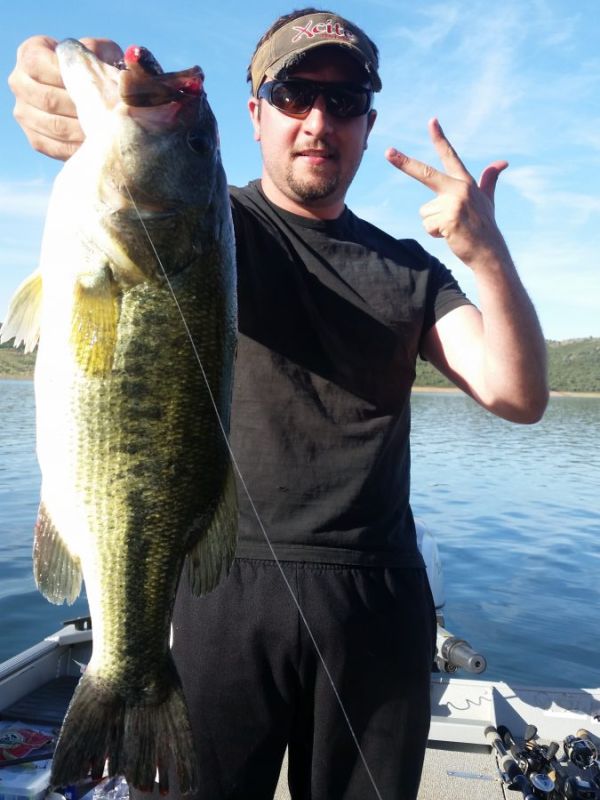 Bass Peche En Bateau Espagne
