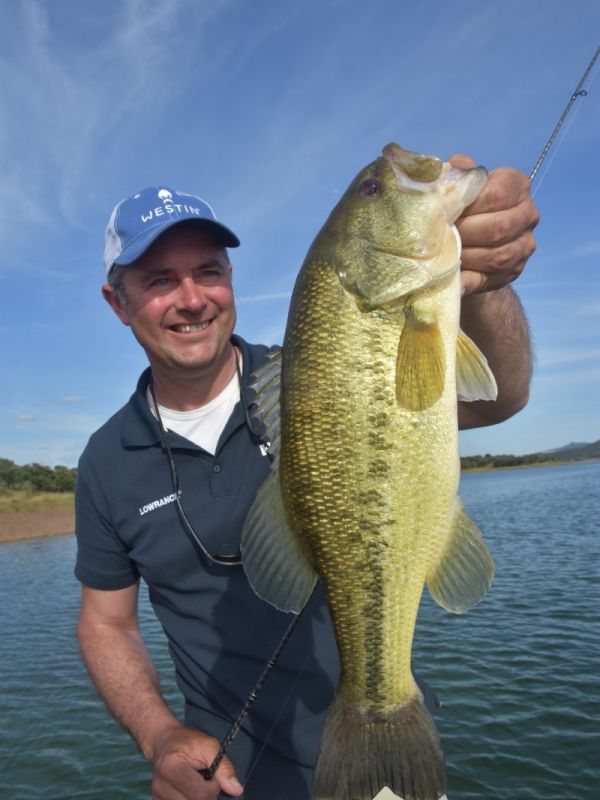 Bass Peche En Bateau Espagne