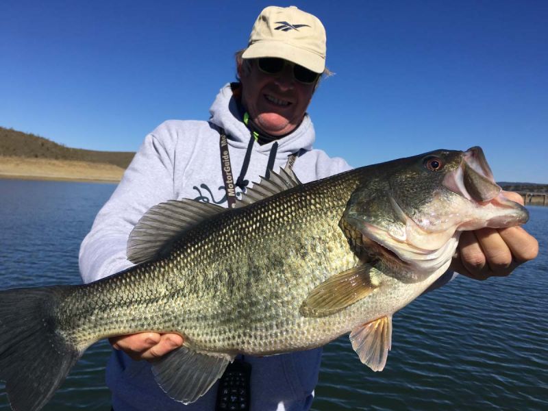 Gross Bass A Bout De Bras