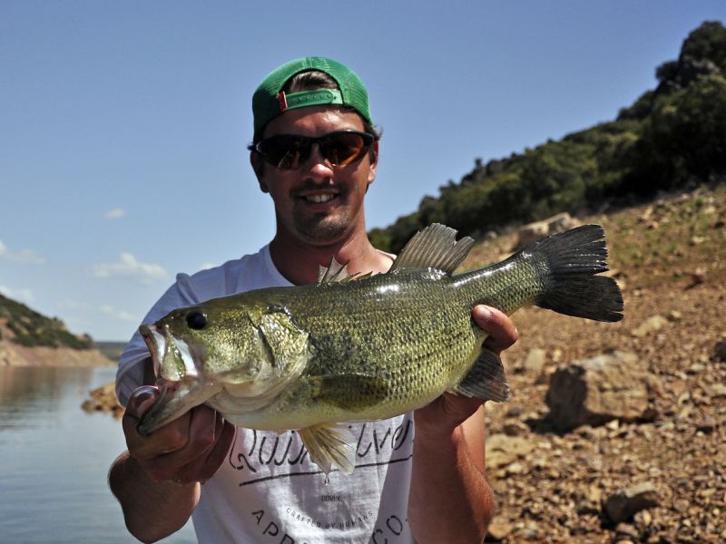 Bass Peche En Bateau Espagne
