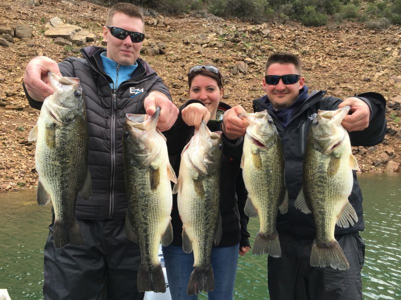 Bass Peche En Bateau Espagne