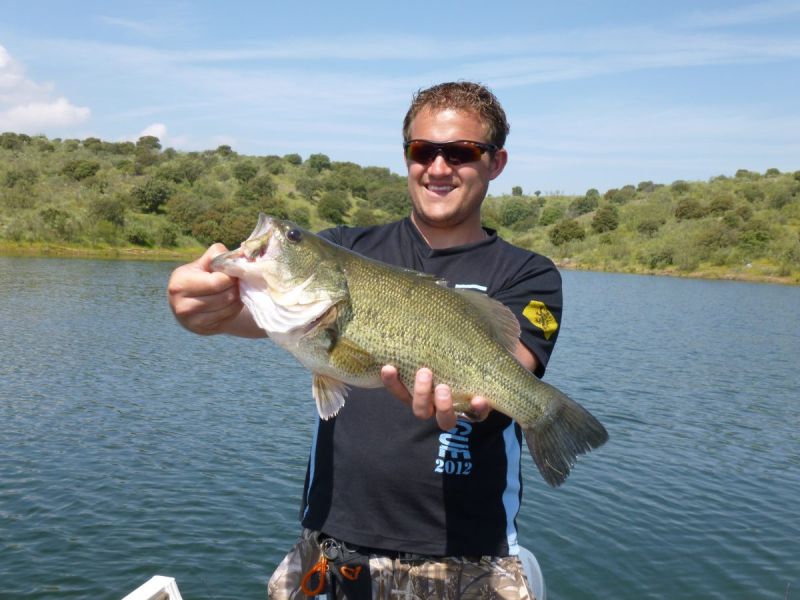 Bass Peche En Bateau Espagne