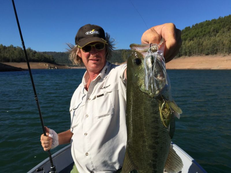 Bass Peche En Bateau Espagne