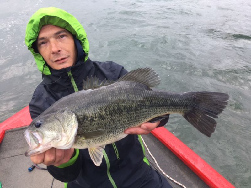 Bass Peche En Bateau Espagne